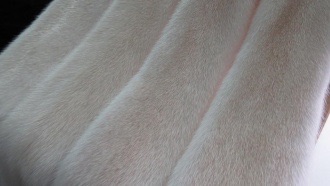 Норка Жемчуг Кристалл