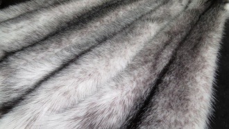 Норка Крестовка блэк кросс