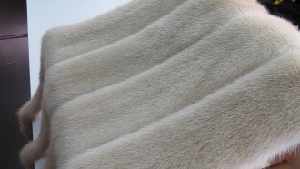 Норка Паломино