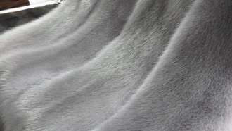 Норка Сапфир