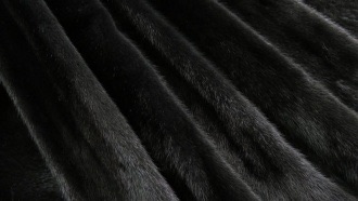 Норка Scanblack